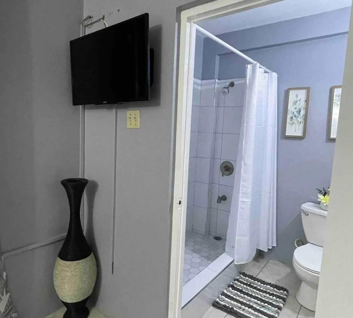 One Bedroom City Apartment Fully Ac With 24Hrs Security Kingston Jamaica