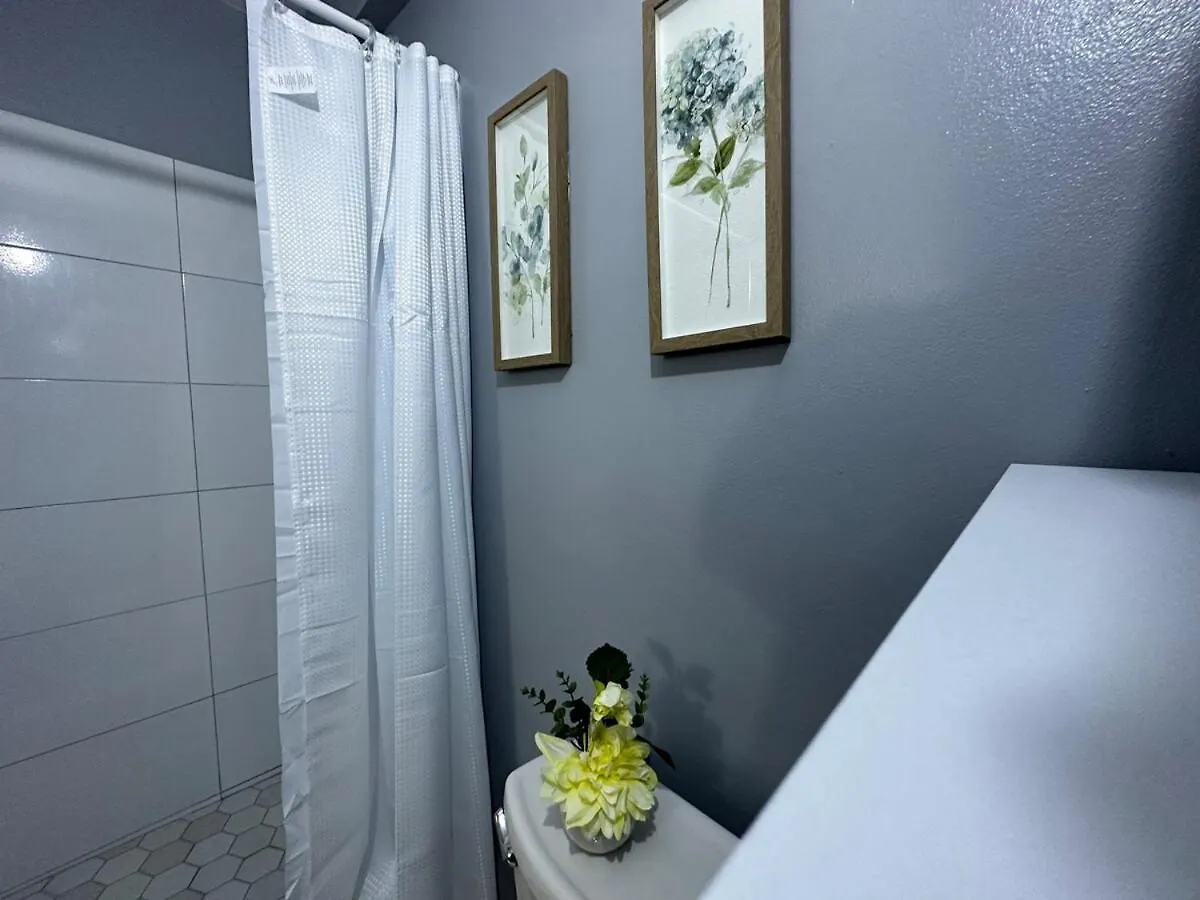 One Bedroom City Apartment Fully Ac With 24Hrs Security Kingston