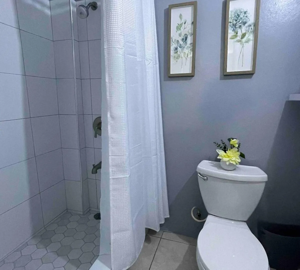 One Bedroom City Apartment Fully Ac With 24Hrs Security Kingston Jamaica